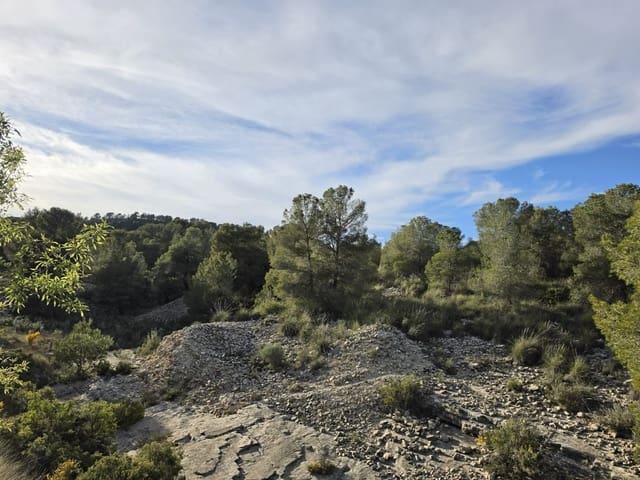 Ubebygd land til salgs i Monóvar / Monóver - € 14 995 (Ref: 9714383)