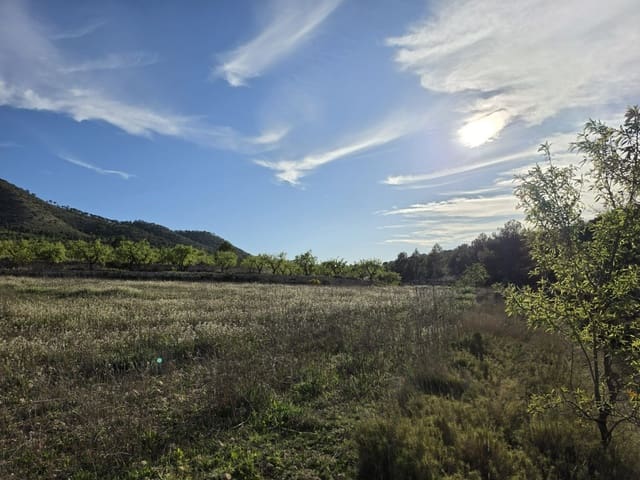 Ubebygd land til salgs i Monóvar / Monóver - € 14 995 (Ref: 9714383)