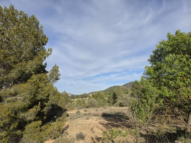 Ubebygd land til salgs i Monóvar / Monóver - € 14 995 (Ref: 9714383)