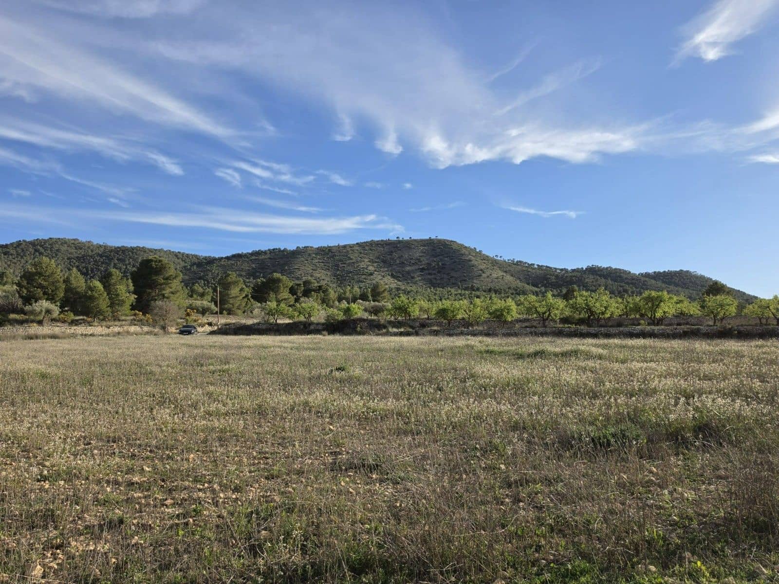 Undeveloped Land for sale in Monovar / Monover - € 14,995 (Ref: 9714383)