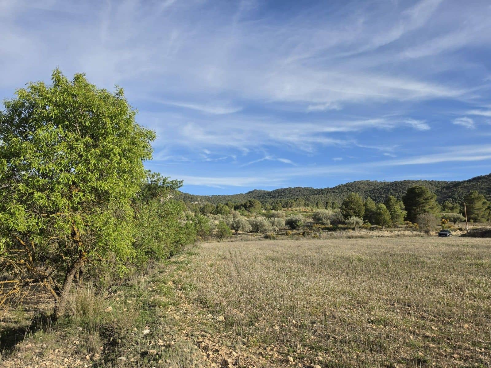 Undeveloped Land for sale in Monovar / Monover - € 14,995 (Ref: 9714383)