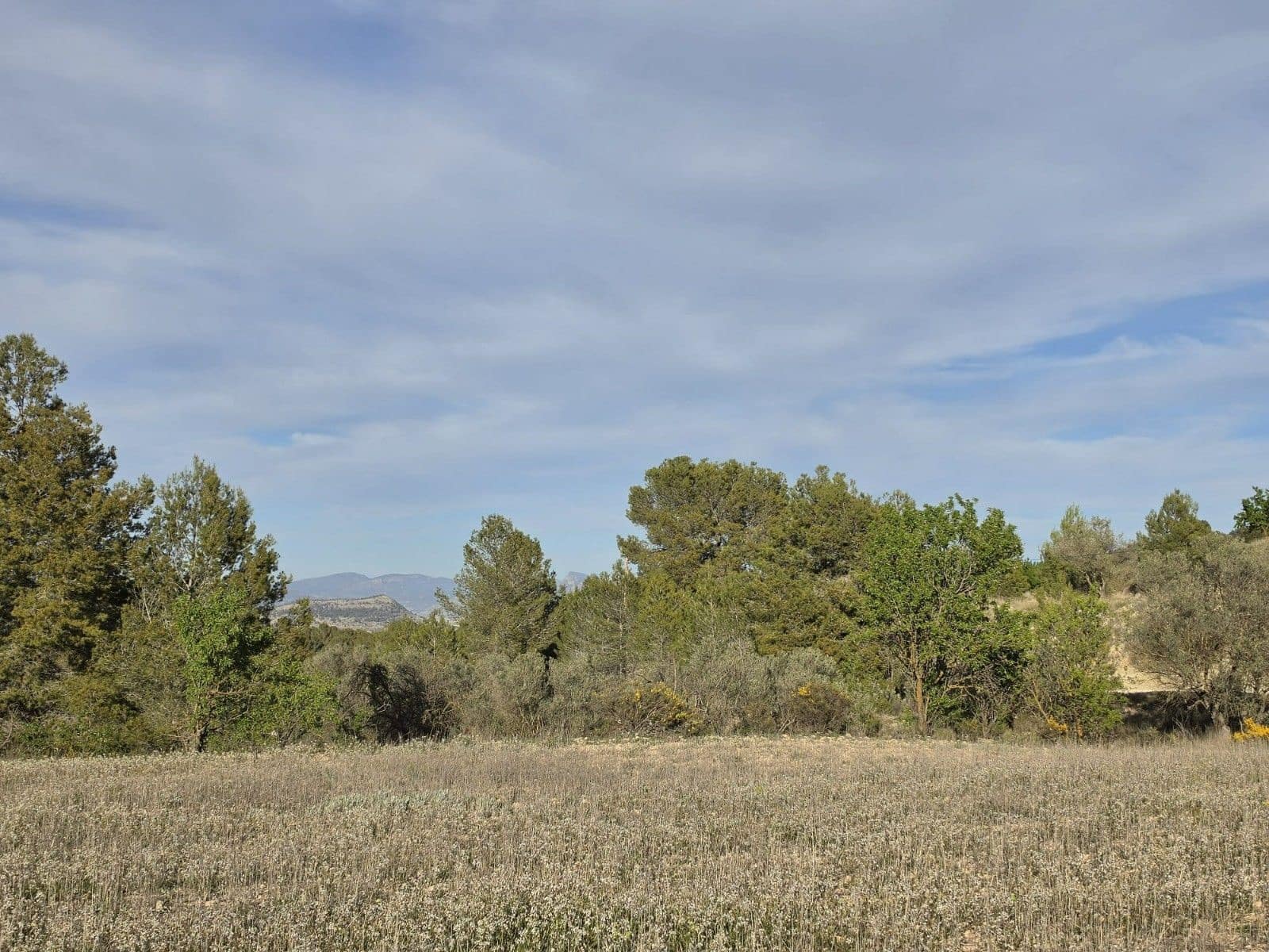 Undeveloped Land for sale in Monovar / Monover - € 14,995 (Ref: 9714383)