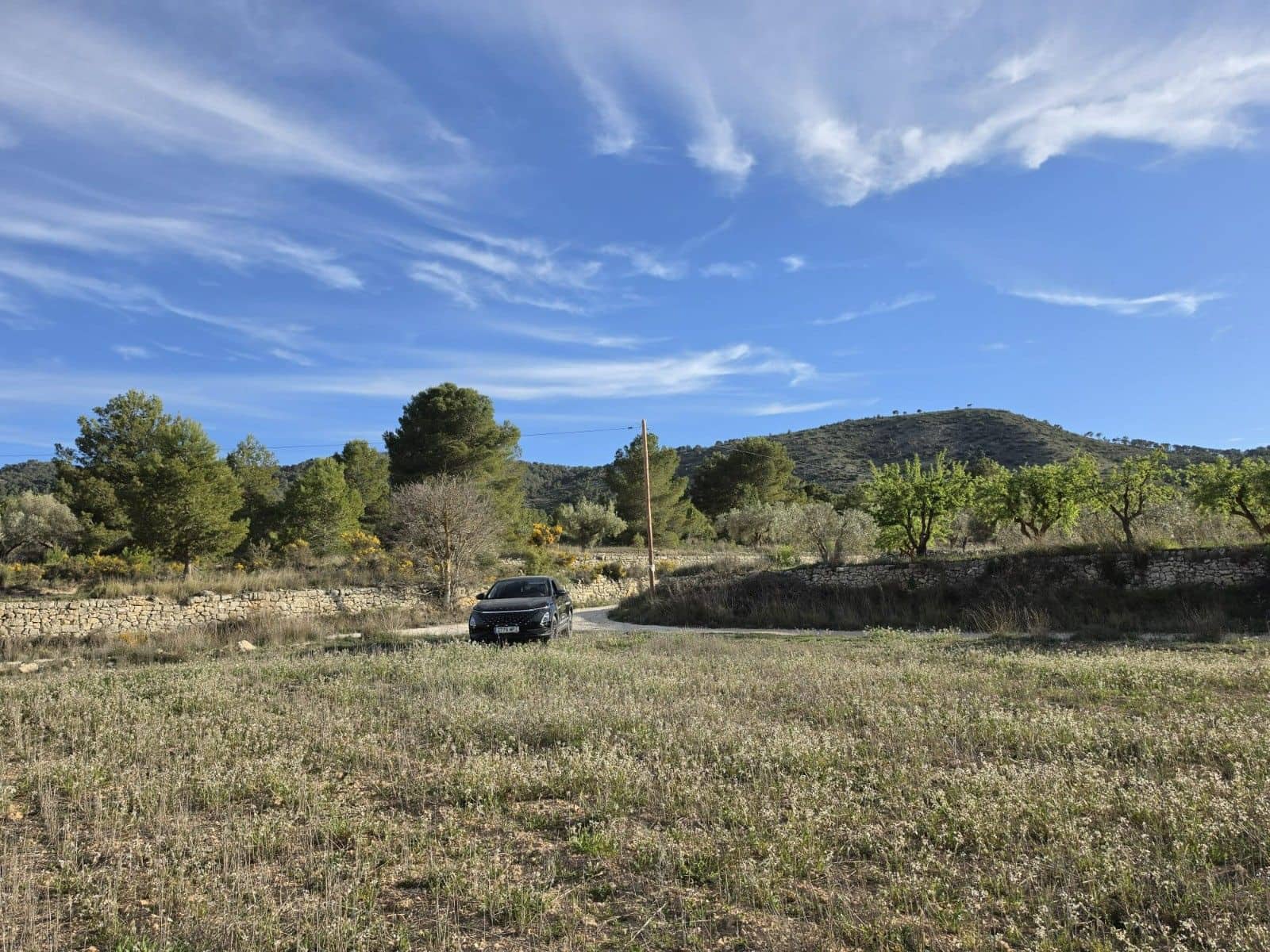 Undeveloped Land for sale in Monovar / Monover - € 14,995 (Ref: 9714383)
