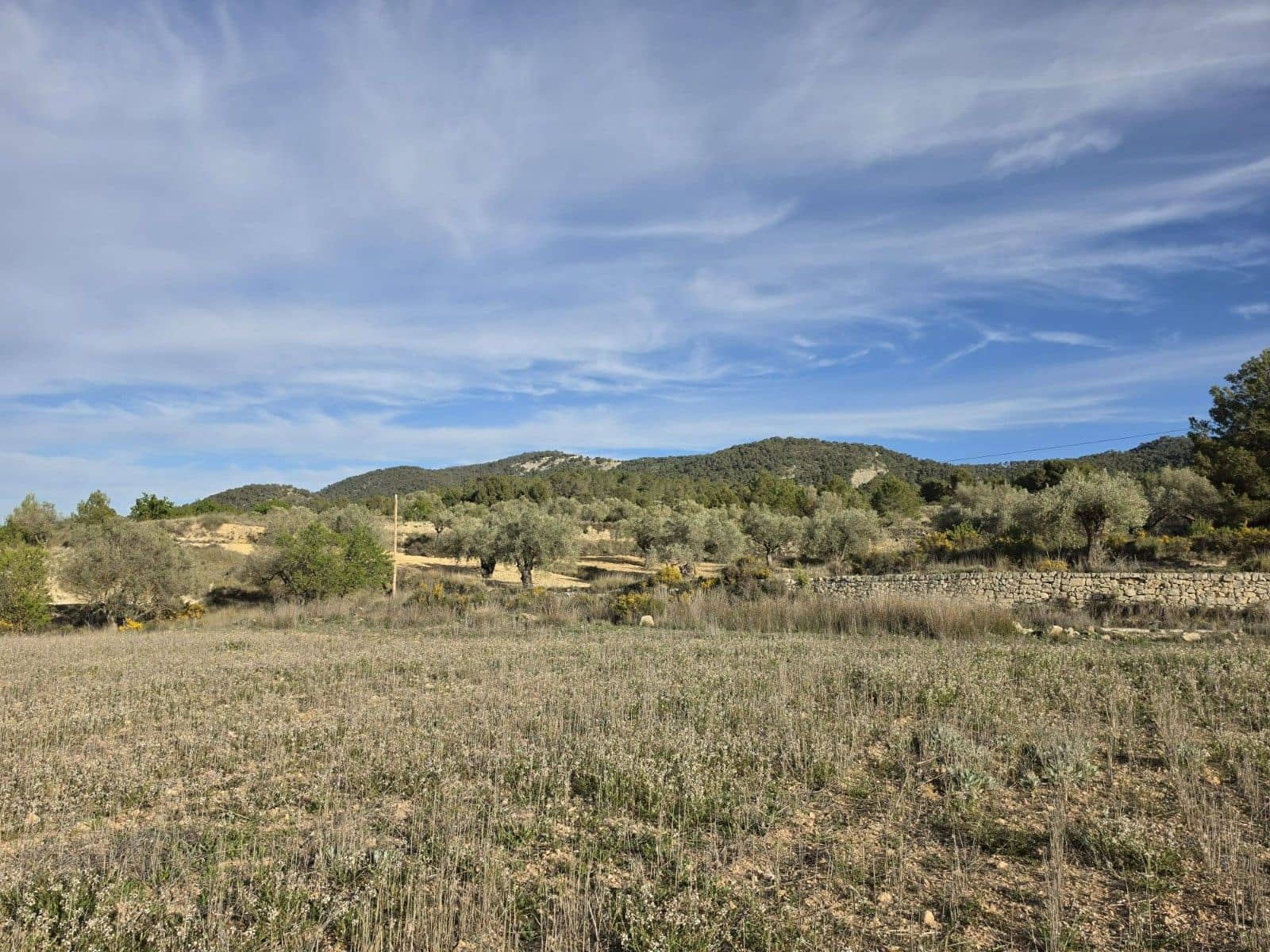 Undeveloped Land for sale in Monovar / Monover - € 14,995 (Ref: 9714383)