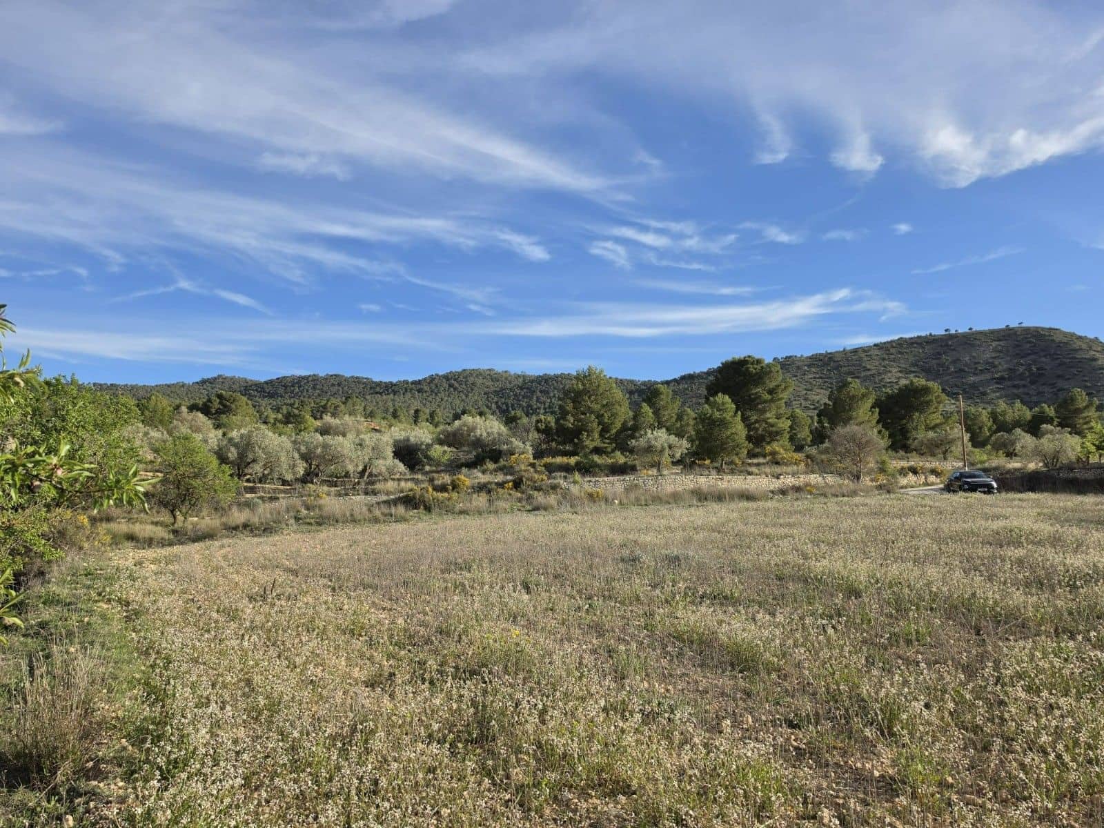 Undeveloped Land for sale in Monovar / Monover - € 14,995 (Ref: 9714383)
