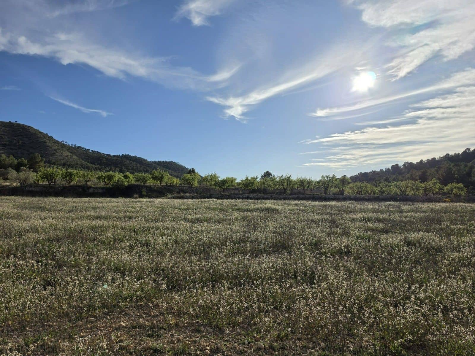 Undeveloped Land for sale in Monovar / Monover - € 14,995 (Ref: 9714383)