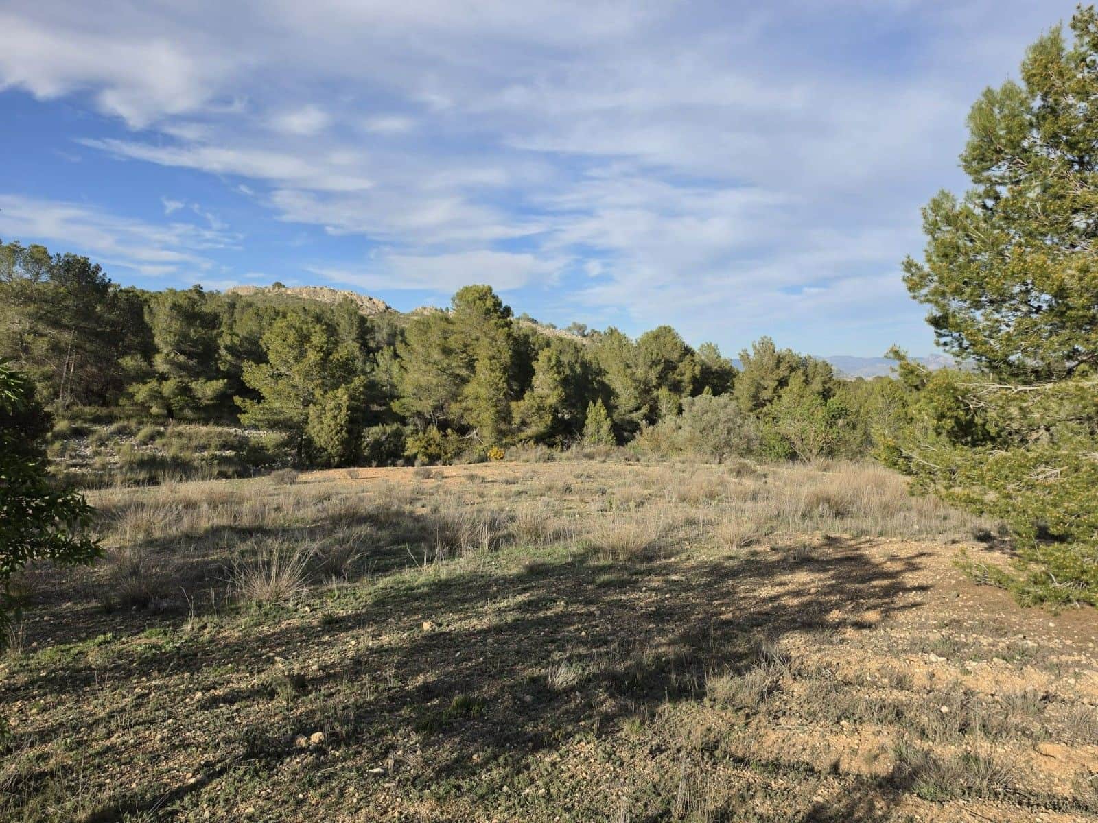 Undeveloped Land for sale in Monovar / Monover - € 14,995 (Ref: 9714383)