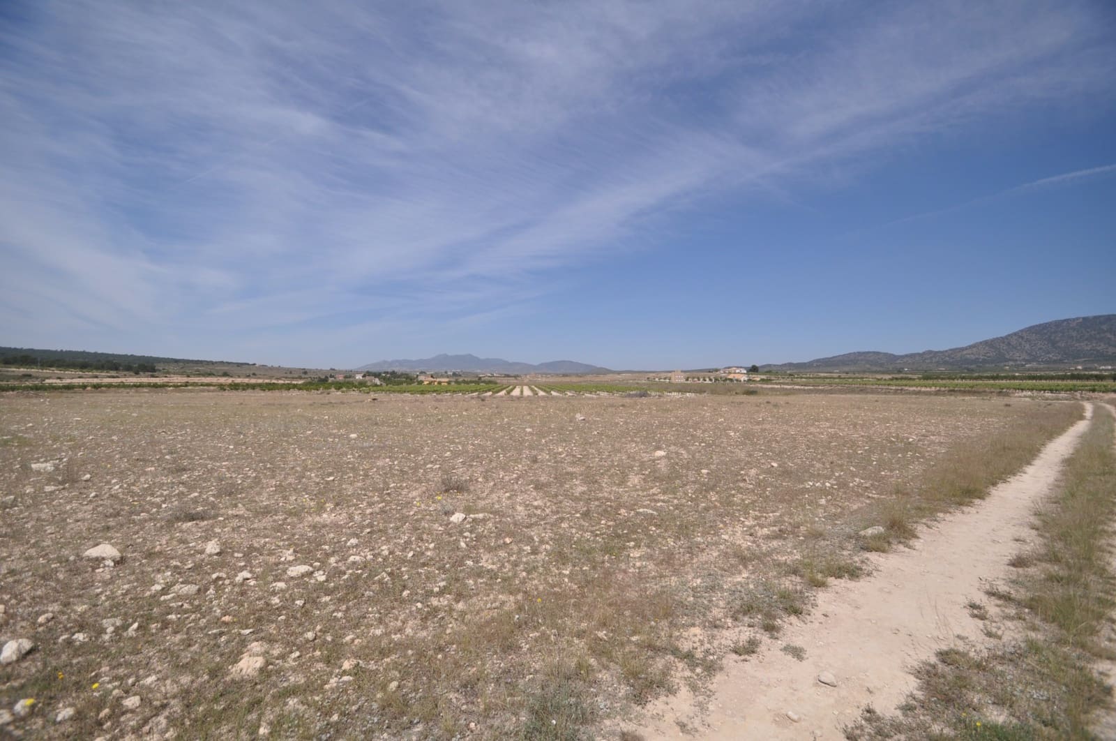 Mark till salu i Pinoso - 35 995 € (Ref: 9720298)