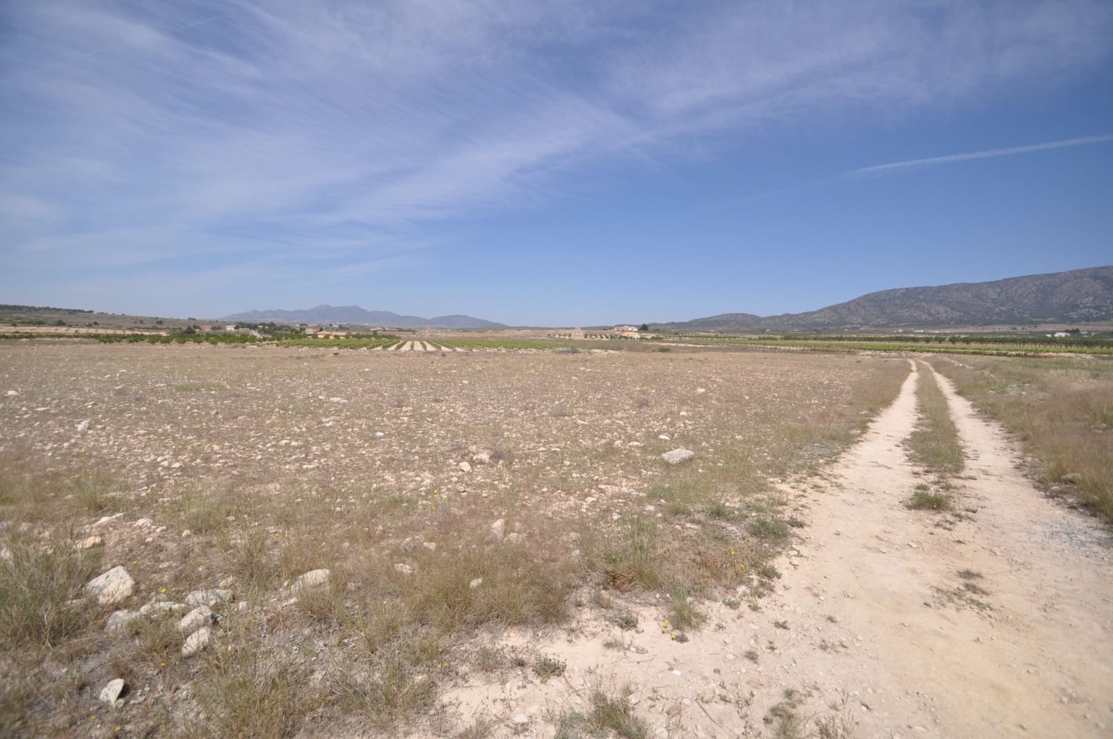 Mark till salu i Pinoso - 35 995 € (Ref: 9720298)