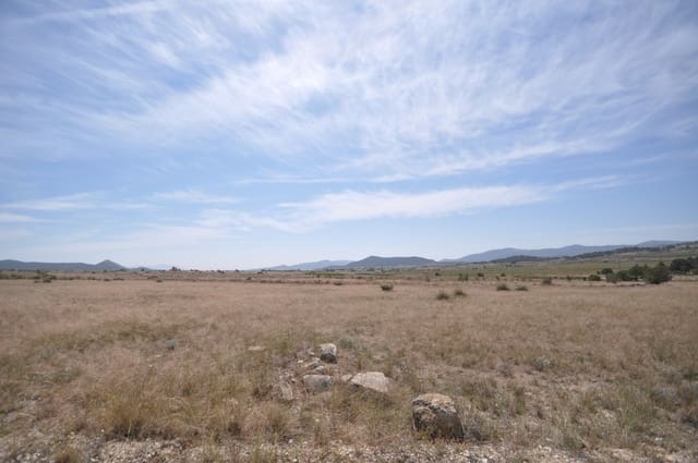 Undeveloped Land for sale in Pinoso - € 35,995 (Ref: 9720298)