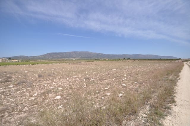 Undeveloped Land for sale in Pinoso - € 35,995 (Ref: 9720298)