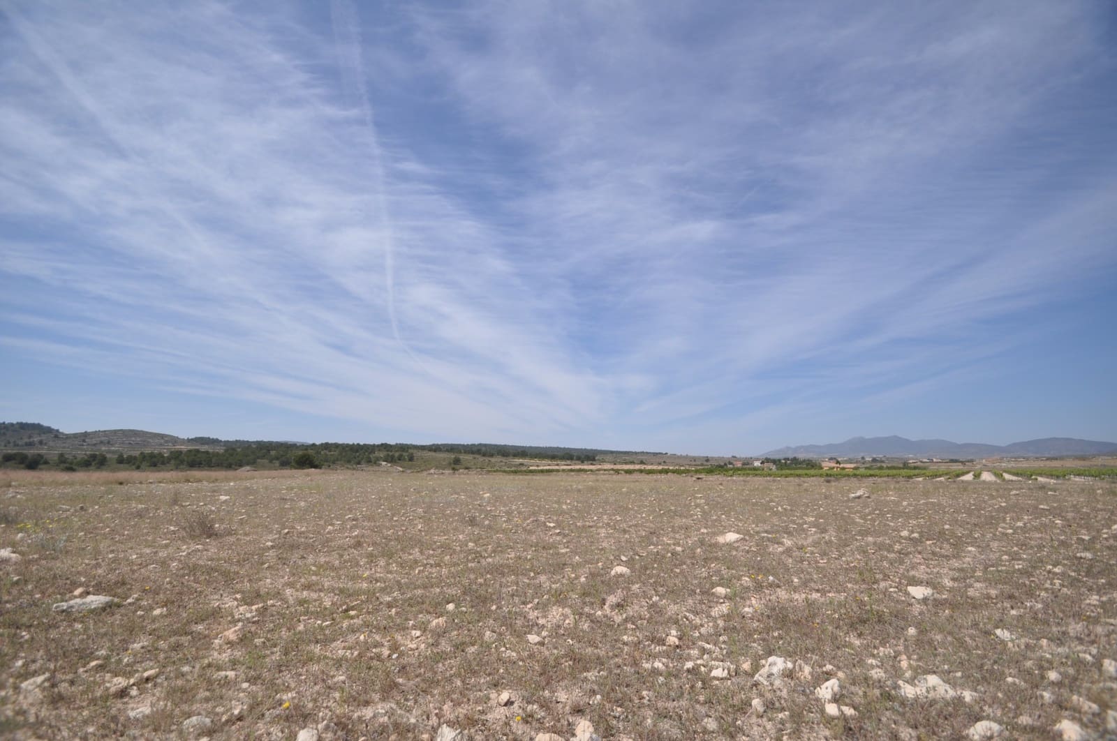Ubebygd land til salgs i Pinoso - € 35 995 (Ref: 9720298)