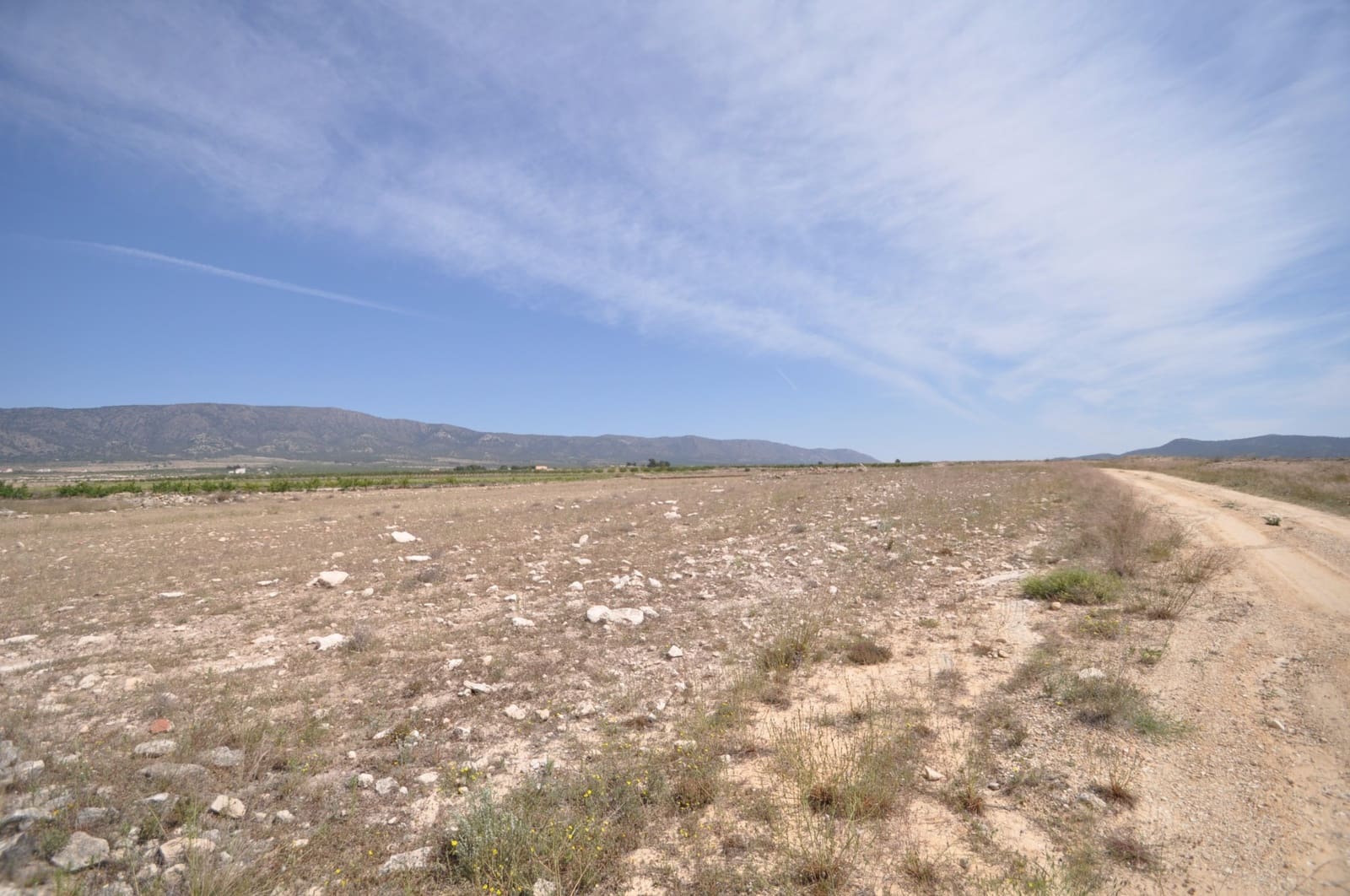 Ubebygd land til salgs i Pinoso - € 35 995 (Ref: 9720298)