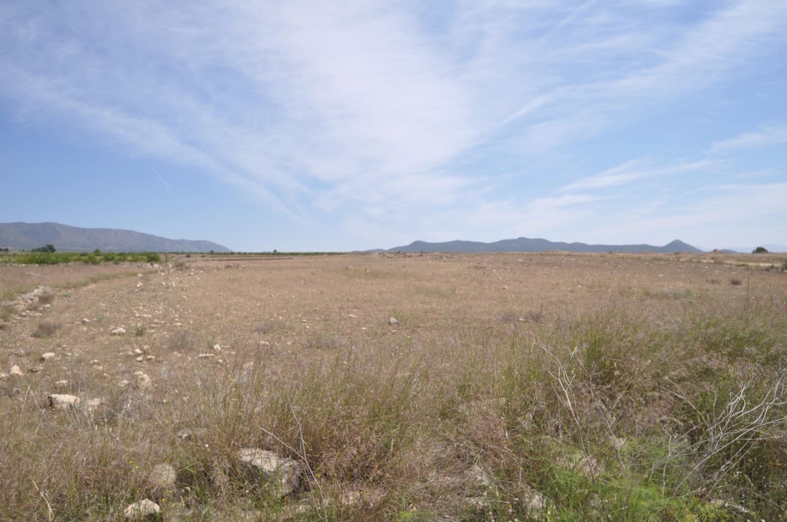 Ubebygd land til salgs i Pinoso - € 35 995 (Ref: 9720298)