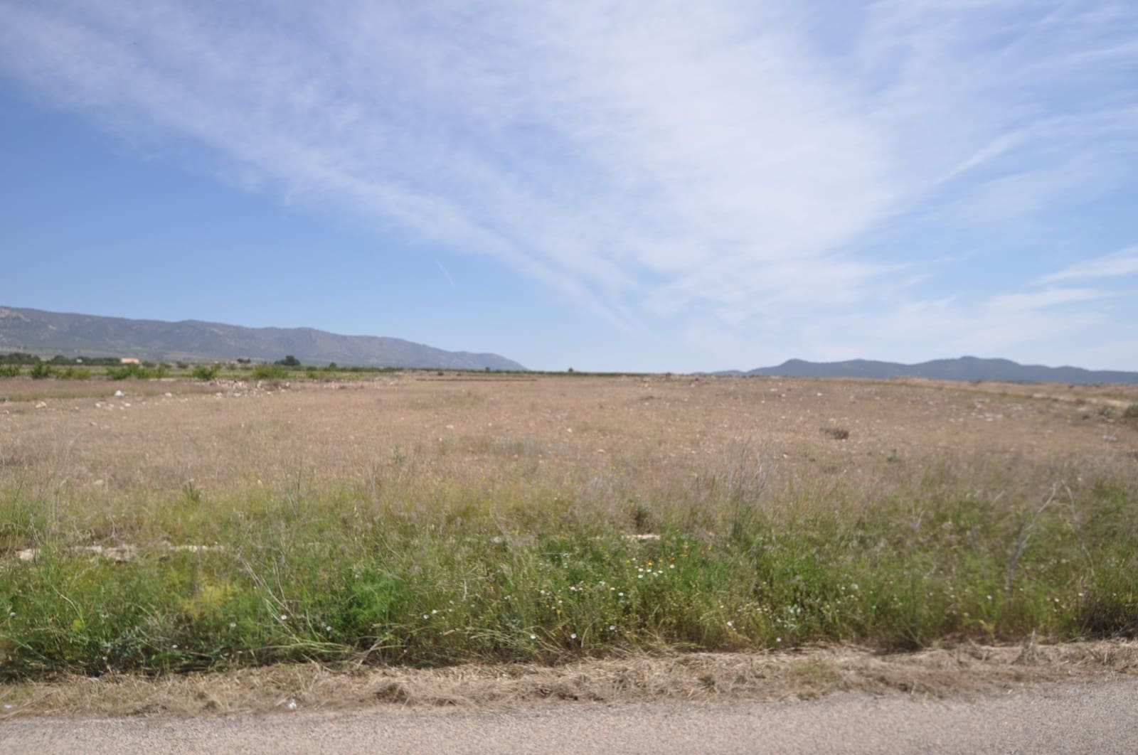 Ubebygd land til salgs i Pinoso - € 35 995 (Ref: 9720298)