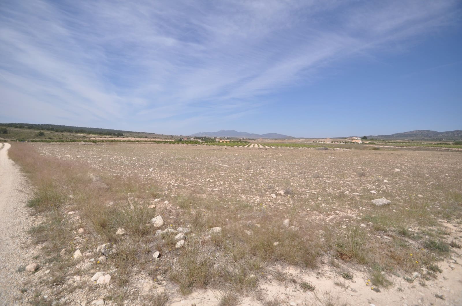 Ubebygd land til salgs i Pinoso - € 35 995 (Ref: 9720298)