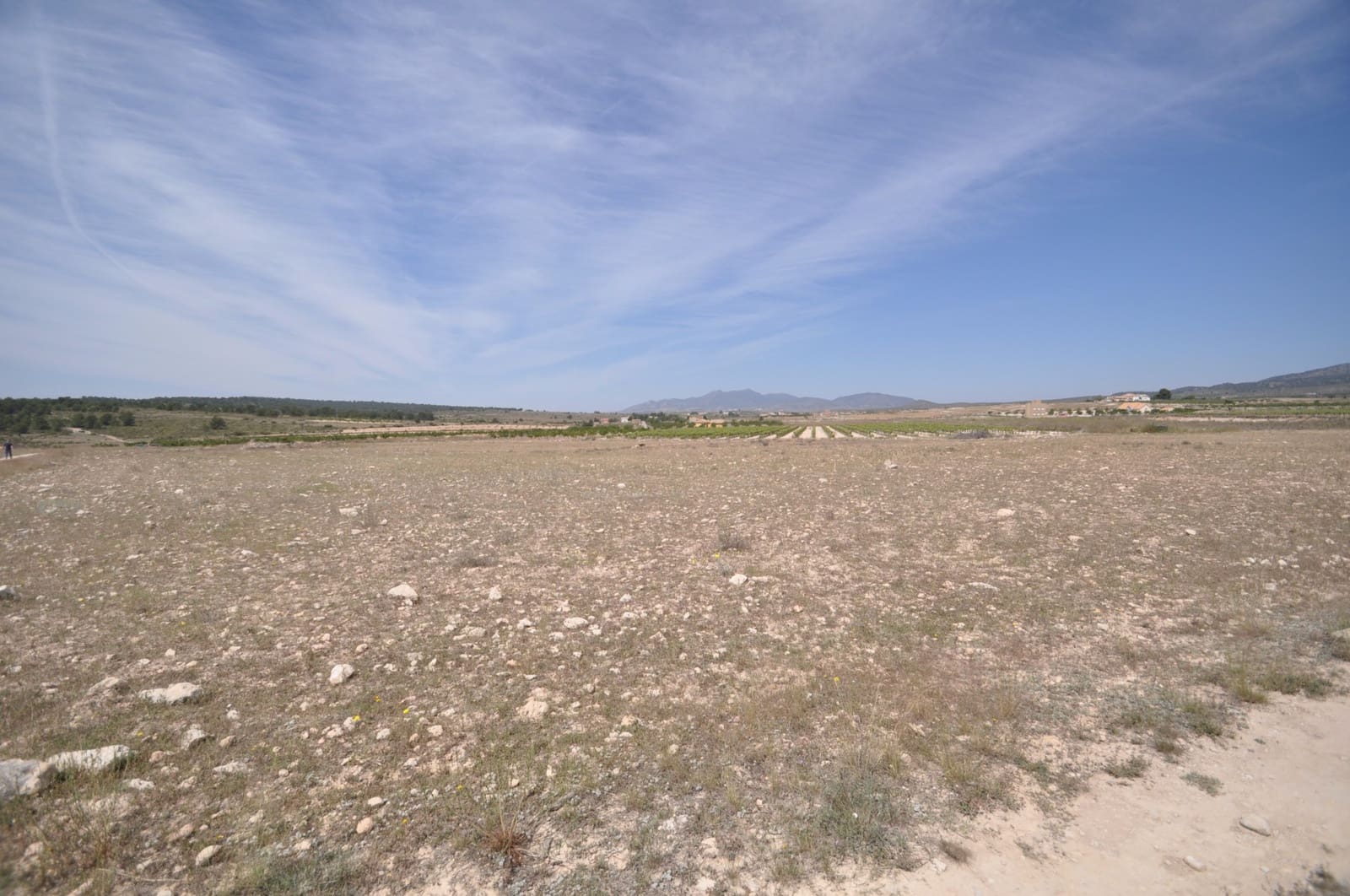 Ubebygd land til salgs i Pinoso - € 35 995 (Ref: 9720298)