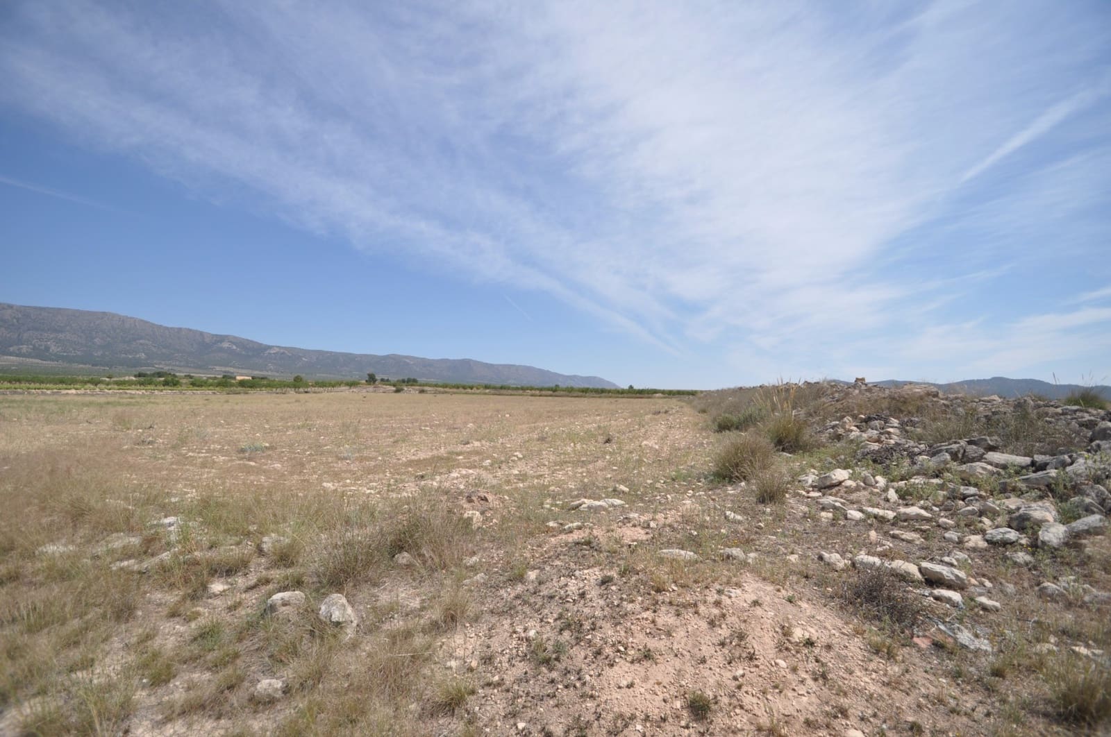 Ubebygd land til salgs i Pinoso - € 35 995 (Ref: 9720298)