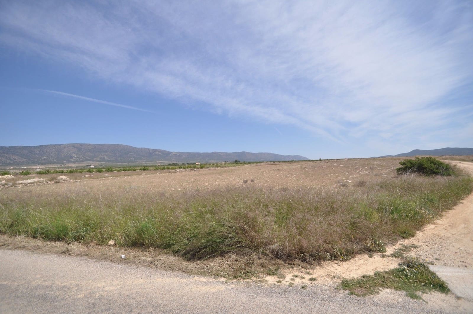 Undeveloped Land for sale in Pinoso - € 35,995 (Ref: 9720298)
