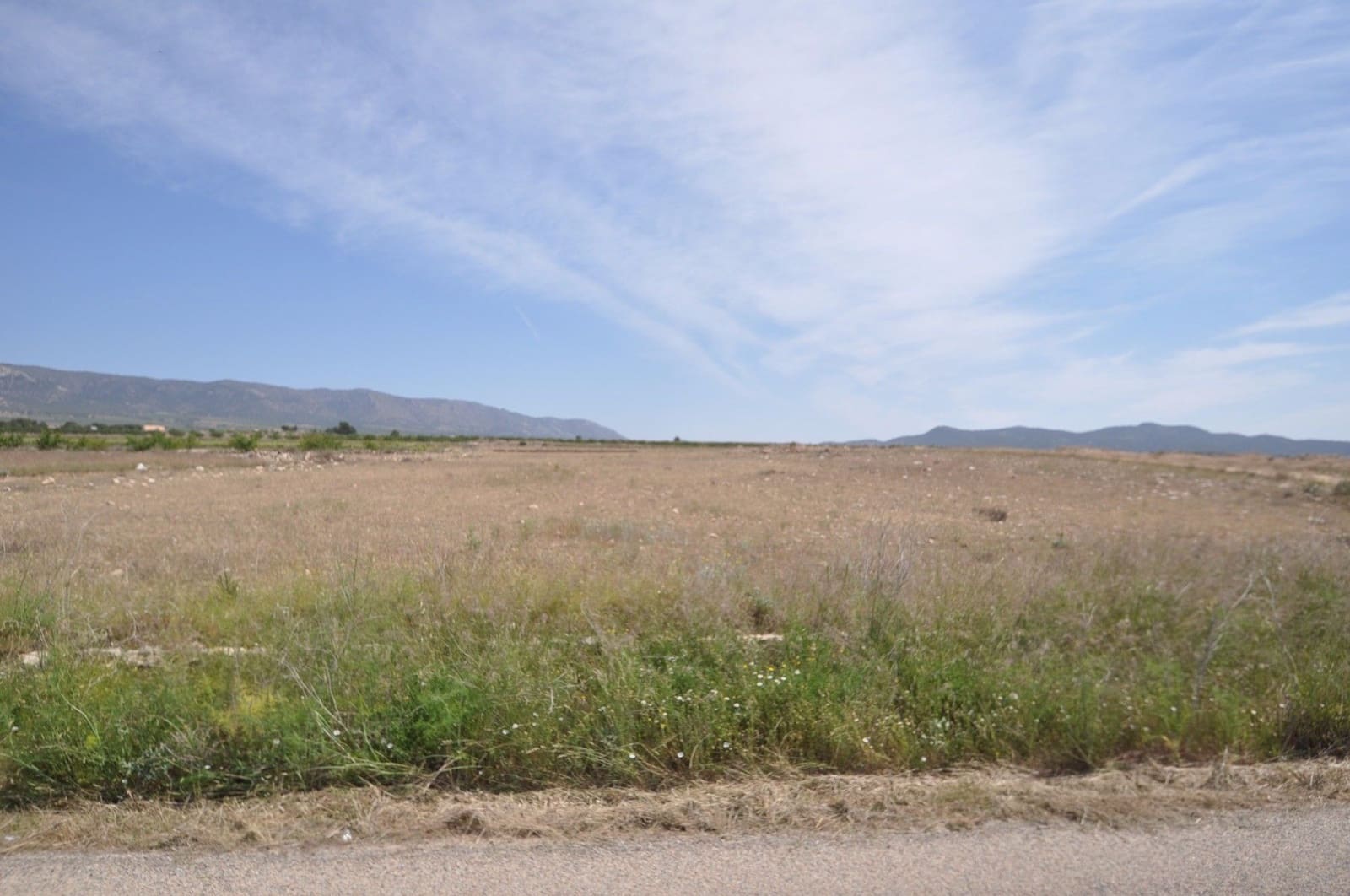 Undeveloped Land for sale in Pinoso - € 35,995 (Ref: 9720298)