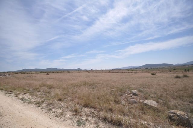 Mark till salu i Pinoso - 35 995 € (Ref: 9720298)