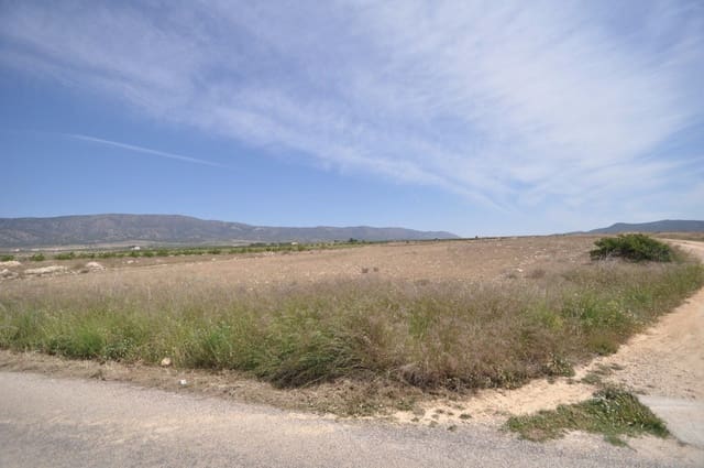 Mark till salu i Pinoso - 35 995 € (Ref: 9720298)