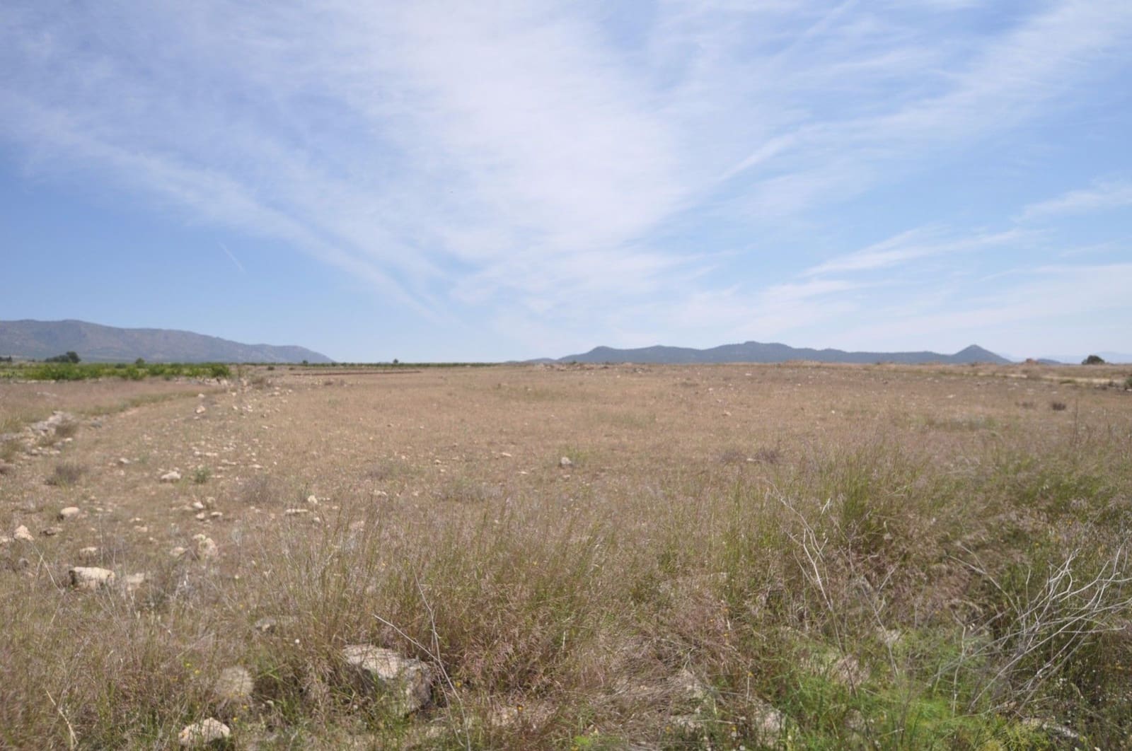 Undeveloped Land for sale in Pinoso - € 35,995 (Ref: 9720298)