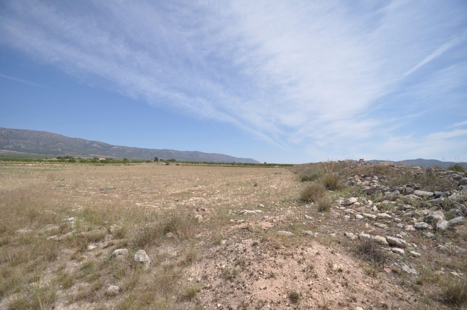 Undeveloped Land for sale in Pinoso - € 35,995 (Ref: 9720298)