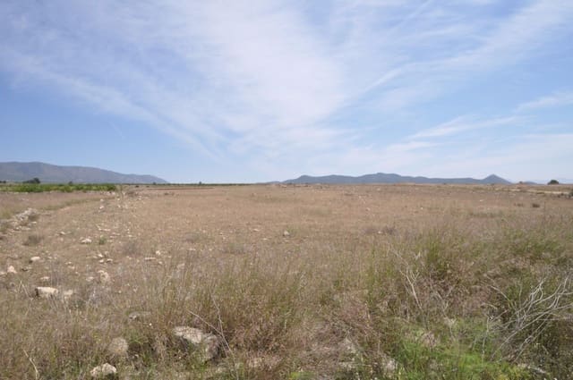 Mark till salu i Pinoso - 35 995 € (Ref: 9720298)