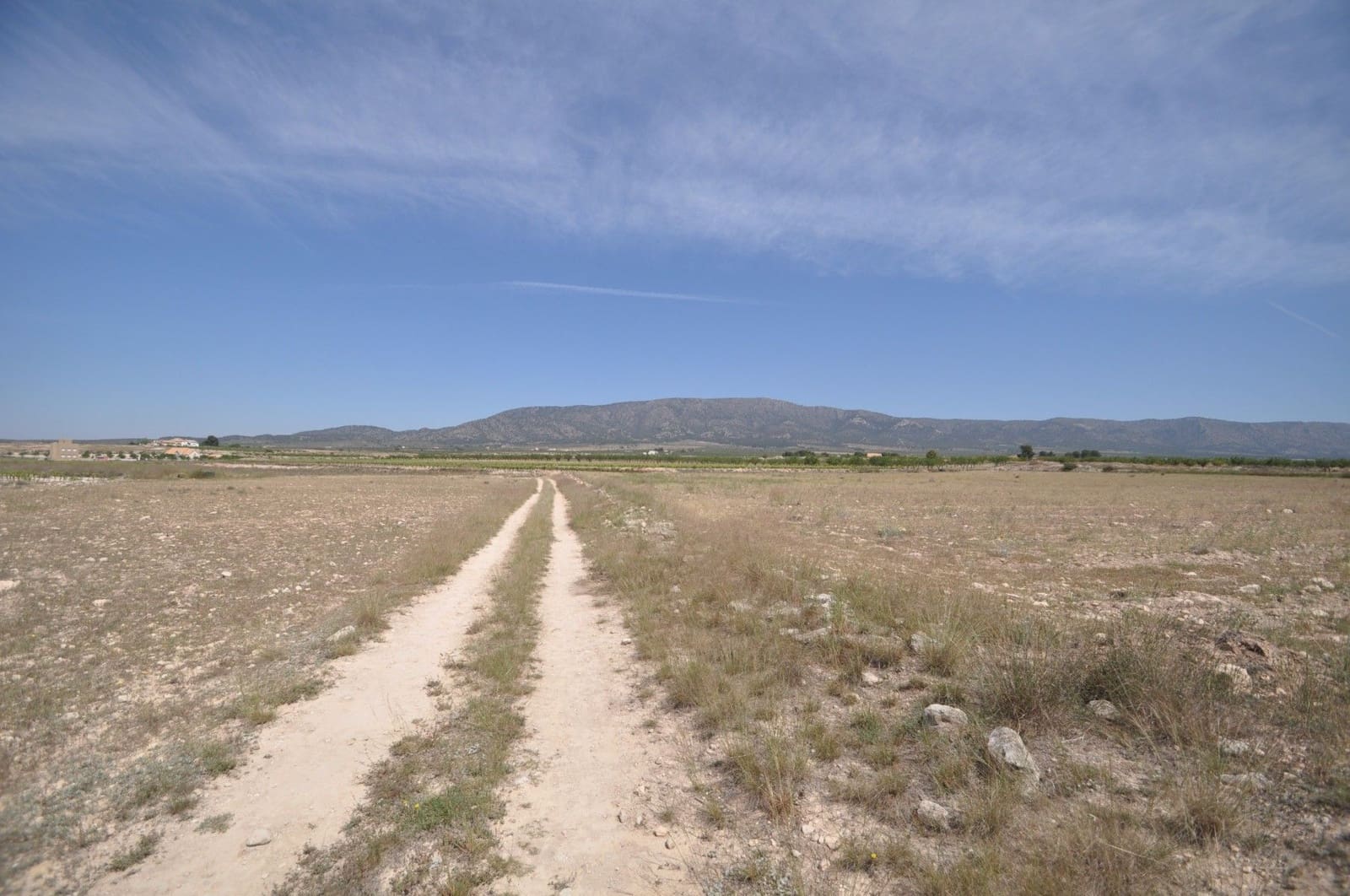 Undeveloped Land for sale in Pinoso - € 35,995 (Ref: 9720298)