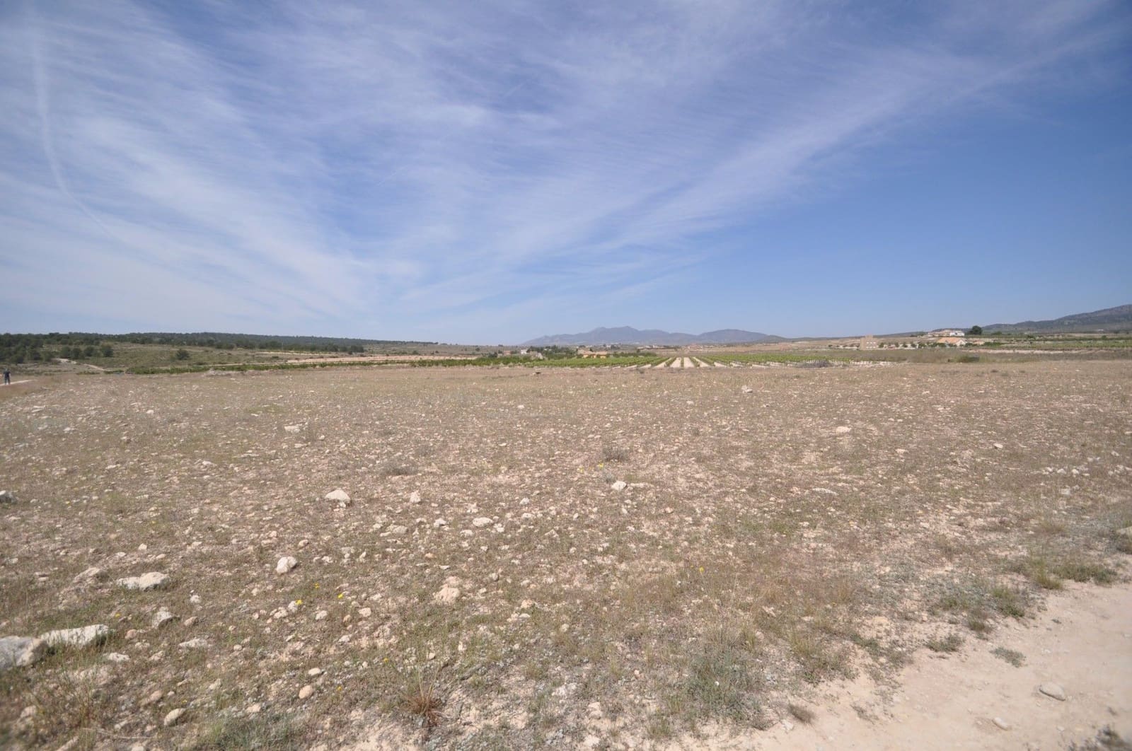 Undeveloped Land for sale in Pinoso - € 35,995 (Ref: 9720298)