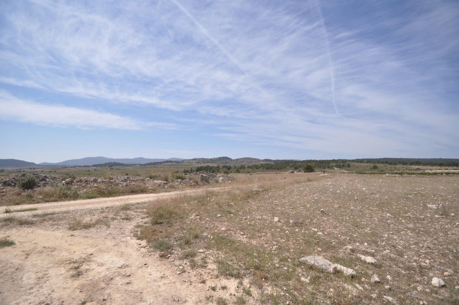 Undeveloped Land for sale in Pinoso - € 35,995 (Ref: 9720298)
