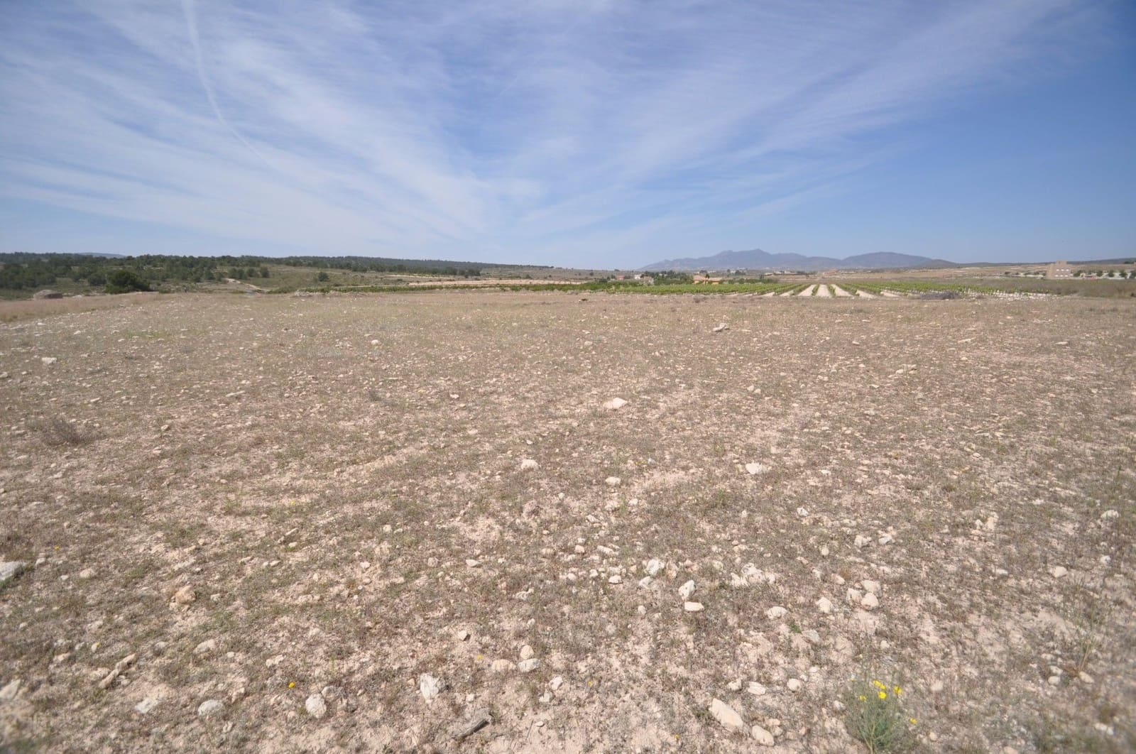 Undeveloped Land for sale in Pinoso - € 35,995 (Ref: 9720298)