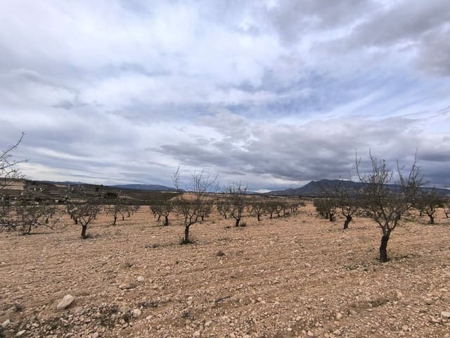 Mark till salu i Pinoso - 26 900 € (Ref: 9720685)
