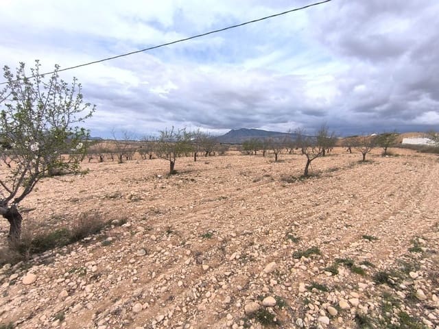 Undeveloped Land for sale in Pinoso - € 26,900 (Ref: 9720685)