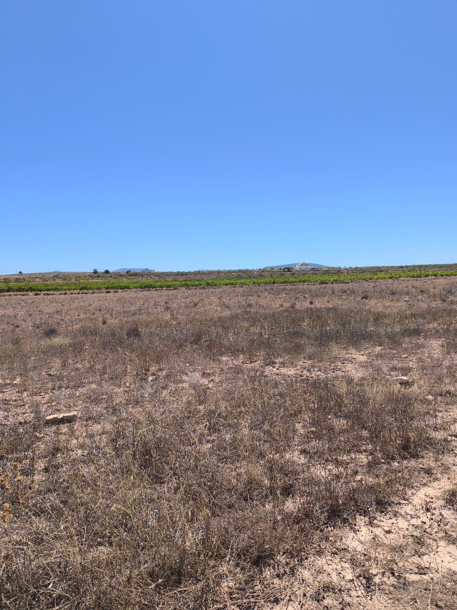 Undeveloped Land for sale in Lel - € 35,995 (Ref: 9720807)