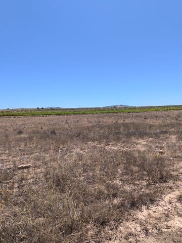 Undeveloped Land for sale in Lel, Pinoso - € 35,995 (Ref: 9720807)