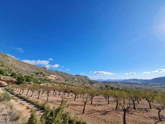 Undeveloped Land for sale in La Romana - € 25,995 (Ref: 9720808)