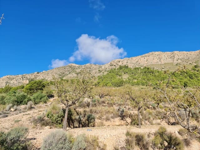 Undeveloped Land for sale in La Romana - € 25,995 (Ref: 9720808)