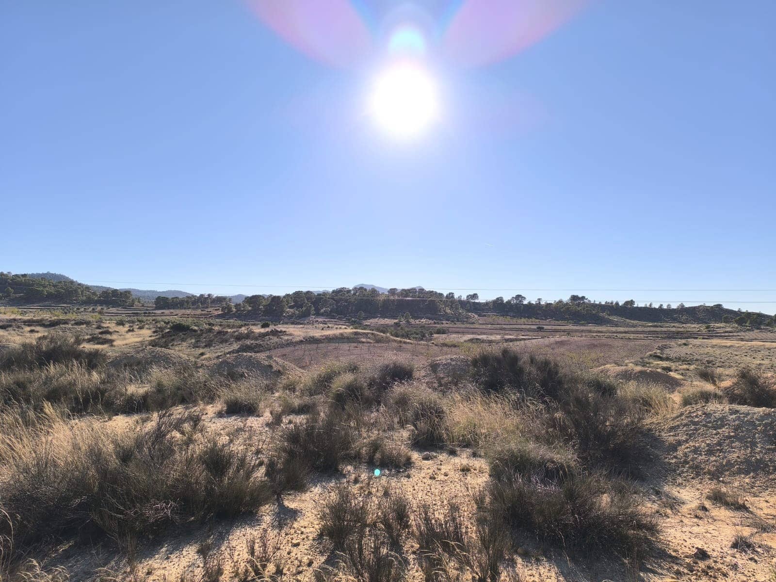 Undeveloped Land for sale in Jumilla - € 18,995 (Ref: 9731638)