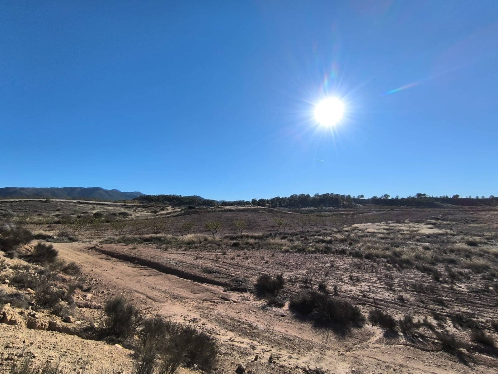 Undeveloped Land for sale in Jumilla - € 18,995 (Ref: 9731638)