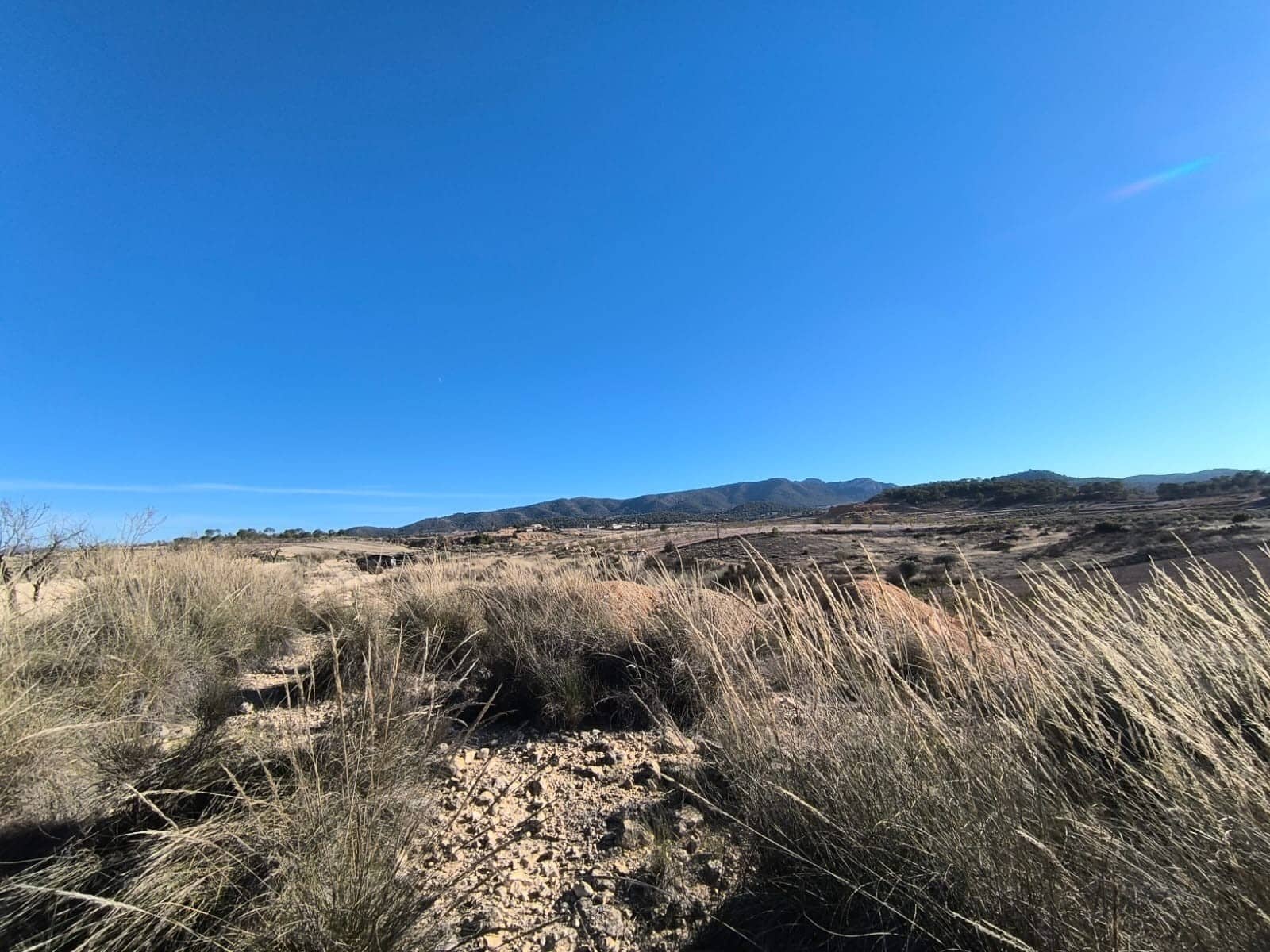 Undeveloped Land for sale in Jumilla - € 18,995 (Ref: 9731638)