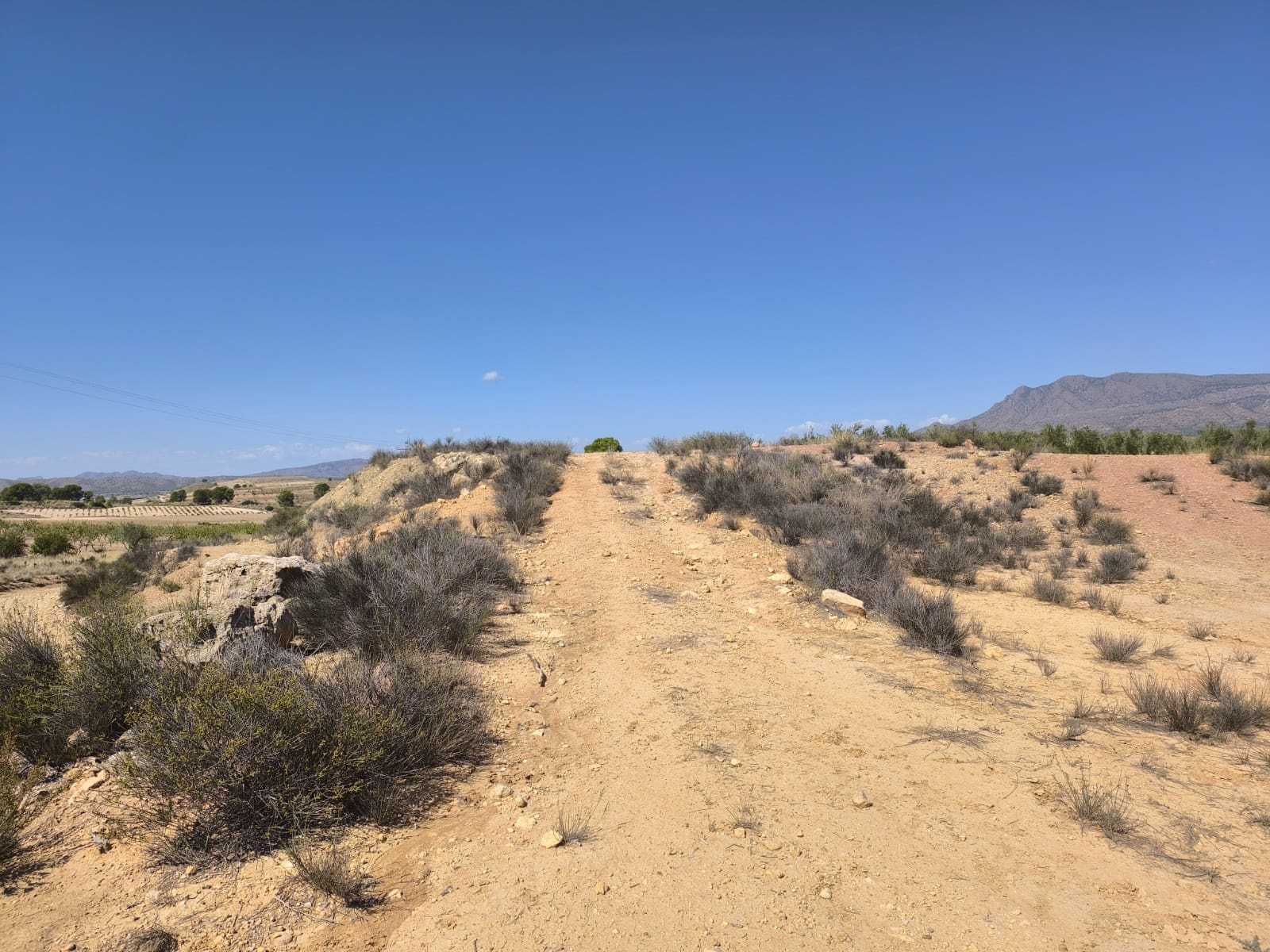 Undeveloped Land for sale in Jumilla - € 18,995 (Ref: 9731638)