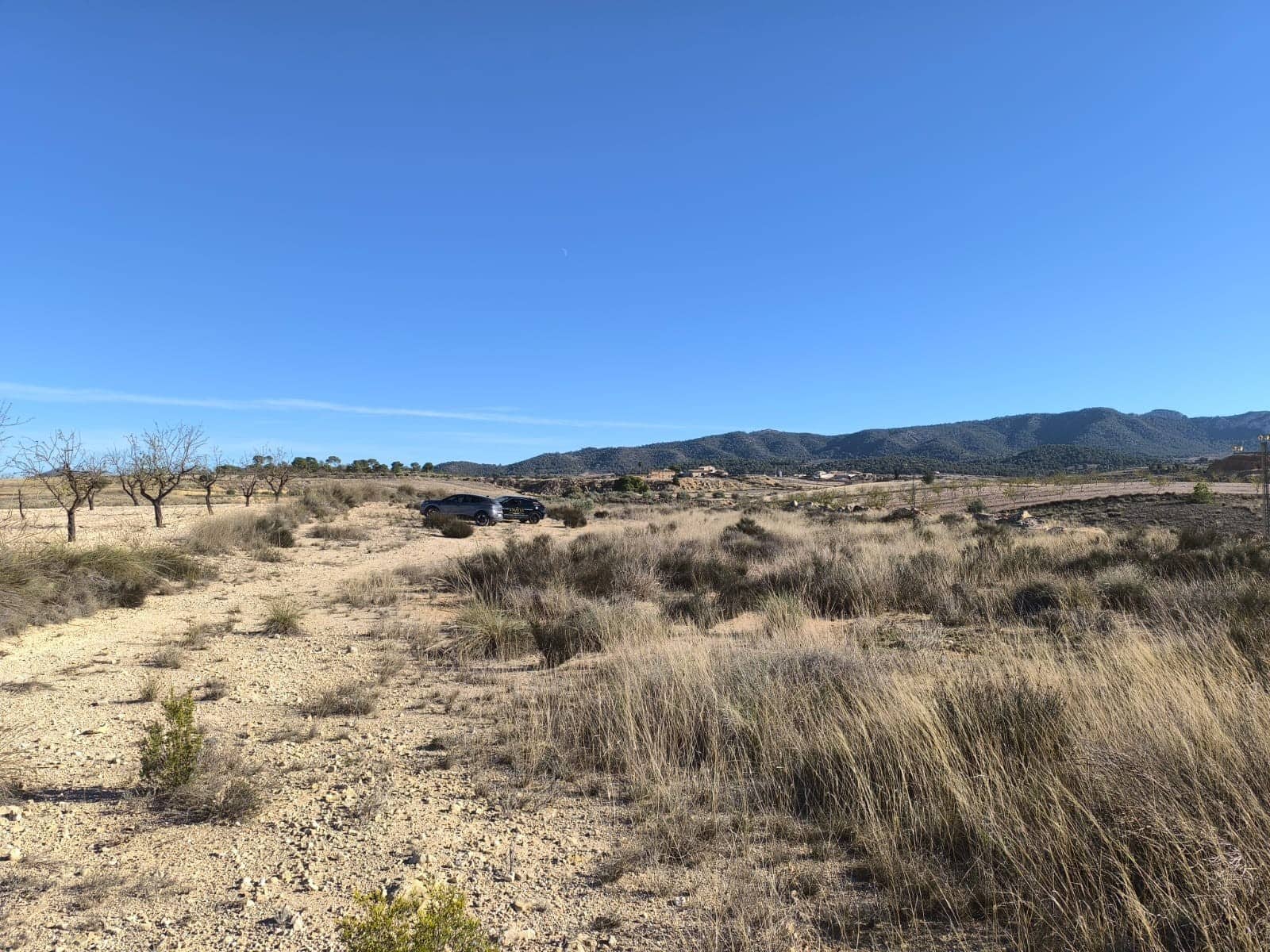 Undeveloped Land for sale in Jumilla - € 18,995 (Ref: 9731638)
