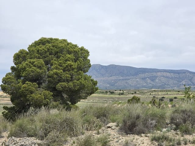 Teren niezagospodarowany na sprzedaż w Jumilla - 18 995 € (Ref: 9731638)