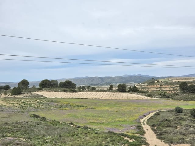 Teren niezagospodarowany na sprzedaż w Jumilla - 18 995 € (Ref: 9731638)