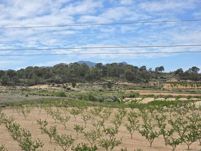 Teren niezagospodarowany na sprzedaż w Jumilla - 18 995 € (Ref: 9731638)