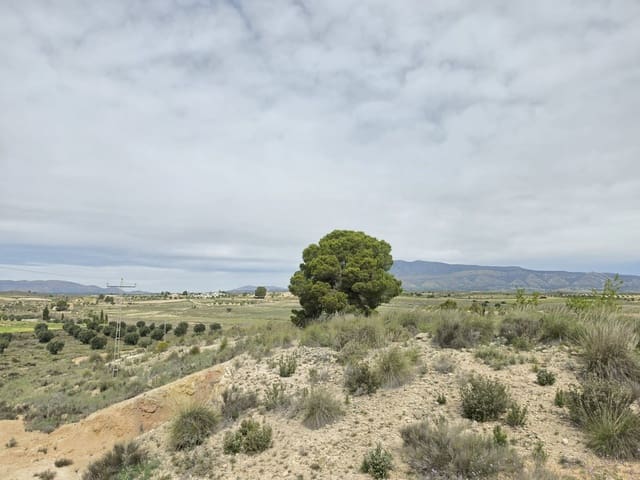 Teren niezagospodarowany na sprzedaż w Jumilla - 18 995 € (Ref: 9731638)