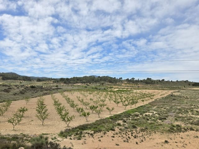 Teren niezagospodarowany na sprzedaż w Jumilla - 18 995 € (Ref: 9731638)