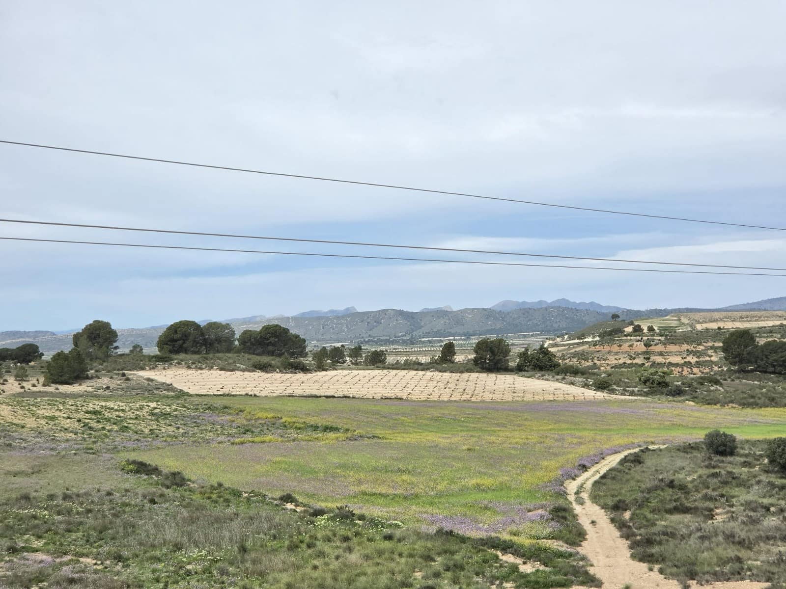 Terre non Aménagée à vendre à Jumilla - 18 995 € (Ref: 9731638)